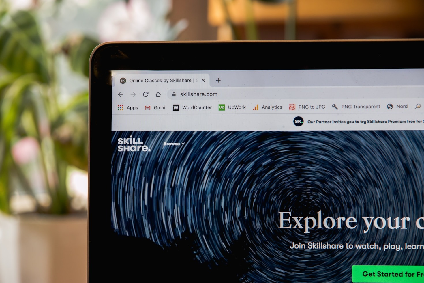 Digital Marketing and Beyond: Alveo Nest’s Comprehensive Services